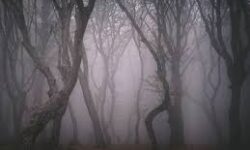 Des récits authentiques, troublants…28/09/25