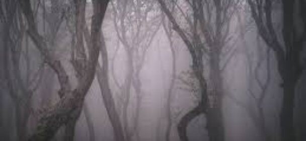 Des récits authentiques, troublants…28/09/25